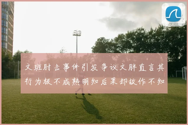 文班肘击事件引发争议文胖直言其行为极不成熟明知后果却故作不知