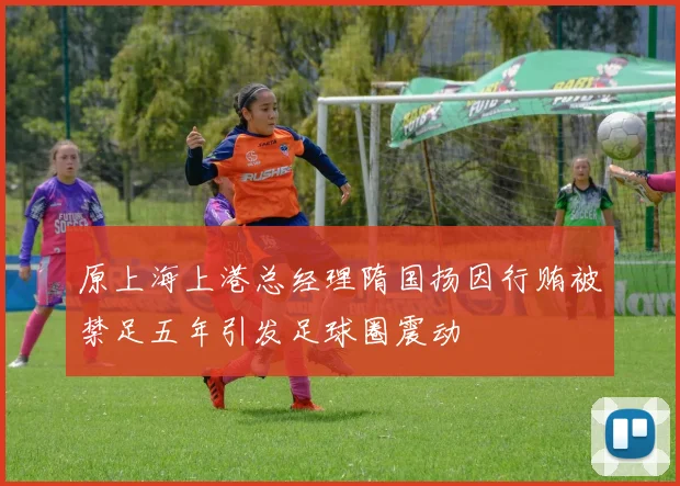 原上海上港总经理隋国扬因行贿被禁足五年引发足球圈震动