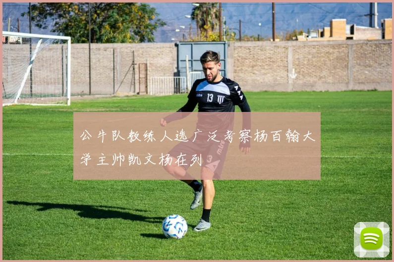公牛队教练人选广泛考察杨百翰大学主帅凯文杨在列